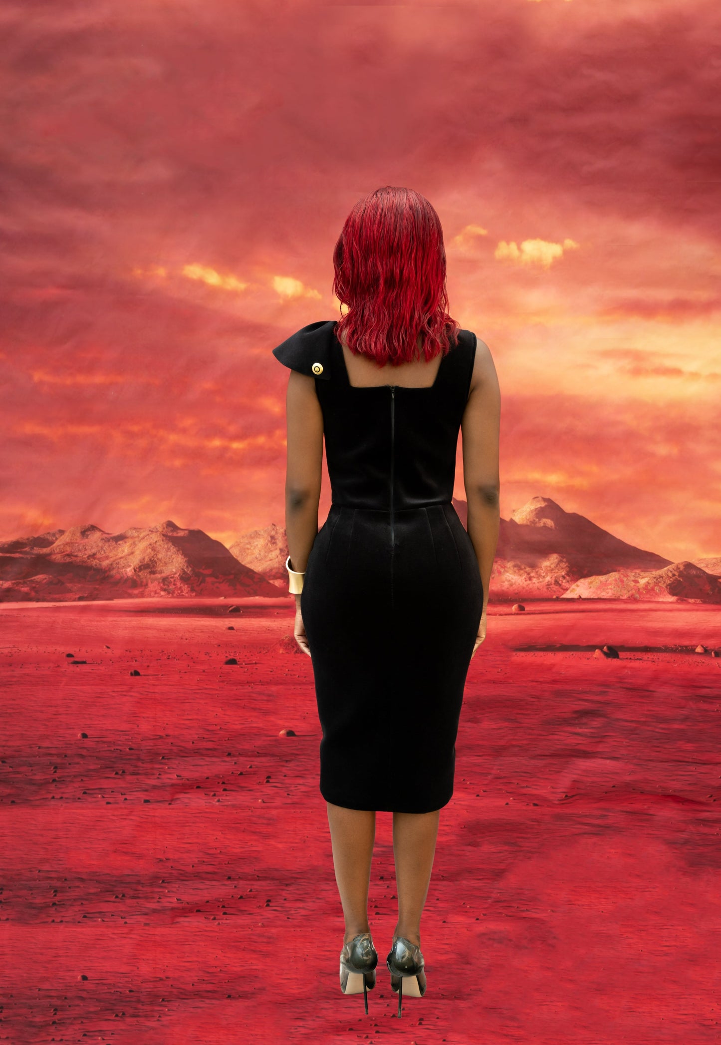 Back view of dress with invisible zipper and darted waist.